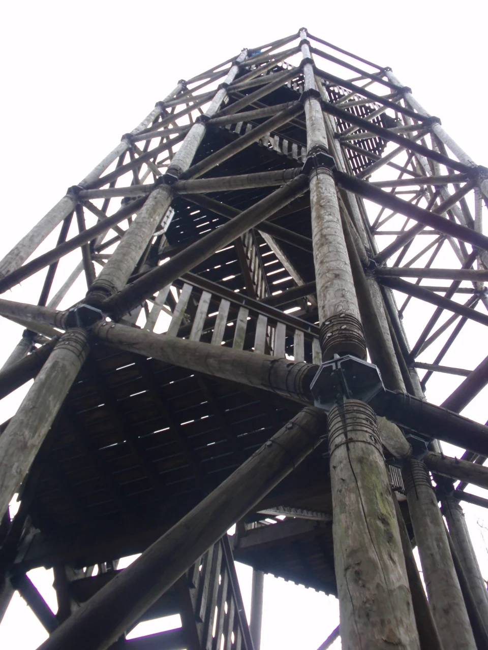 Photo of Berg en Bos