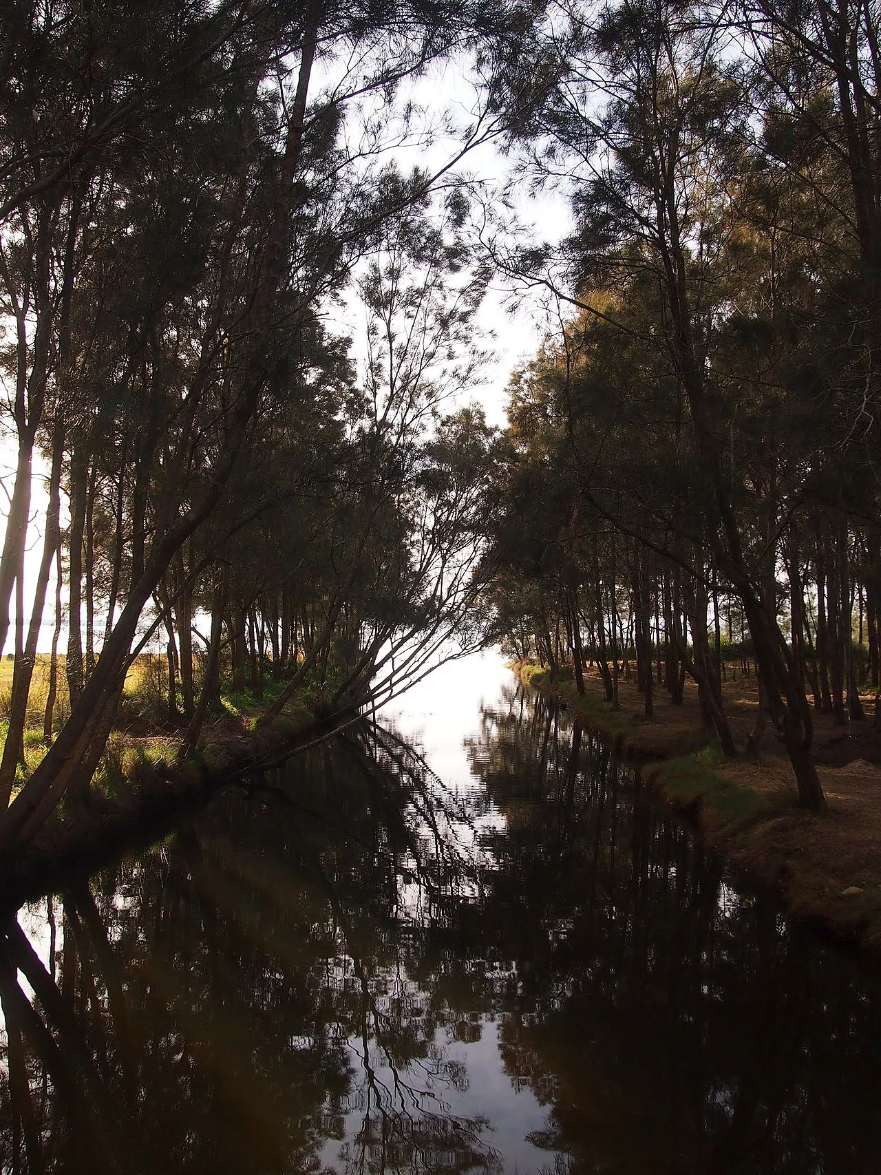 Photo of Berkeley Vale