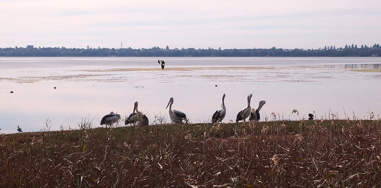Photo of Berkeley Vale