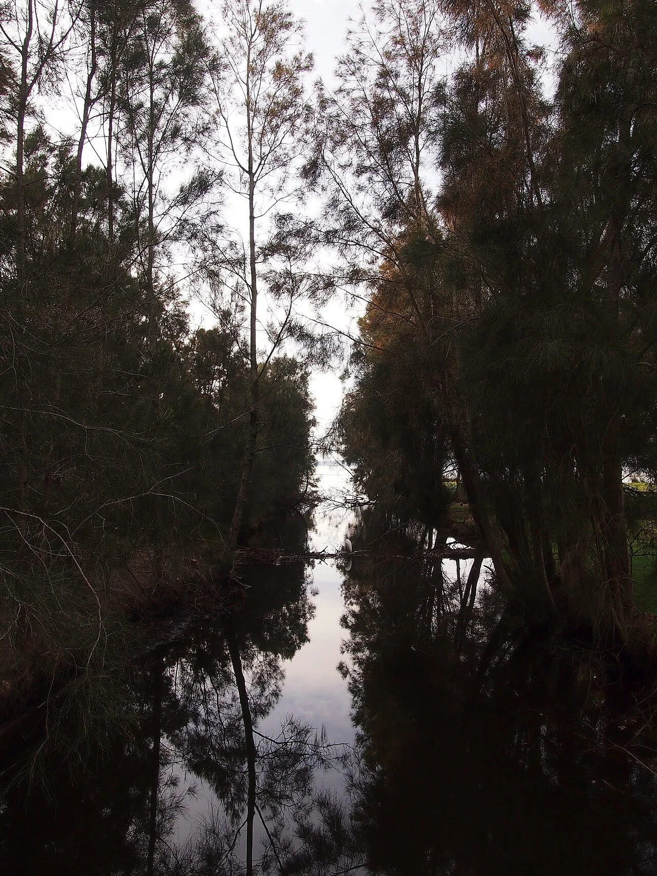 Photo of Berkeley Vale