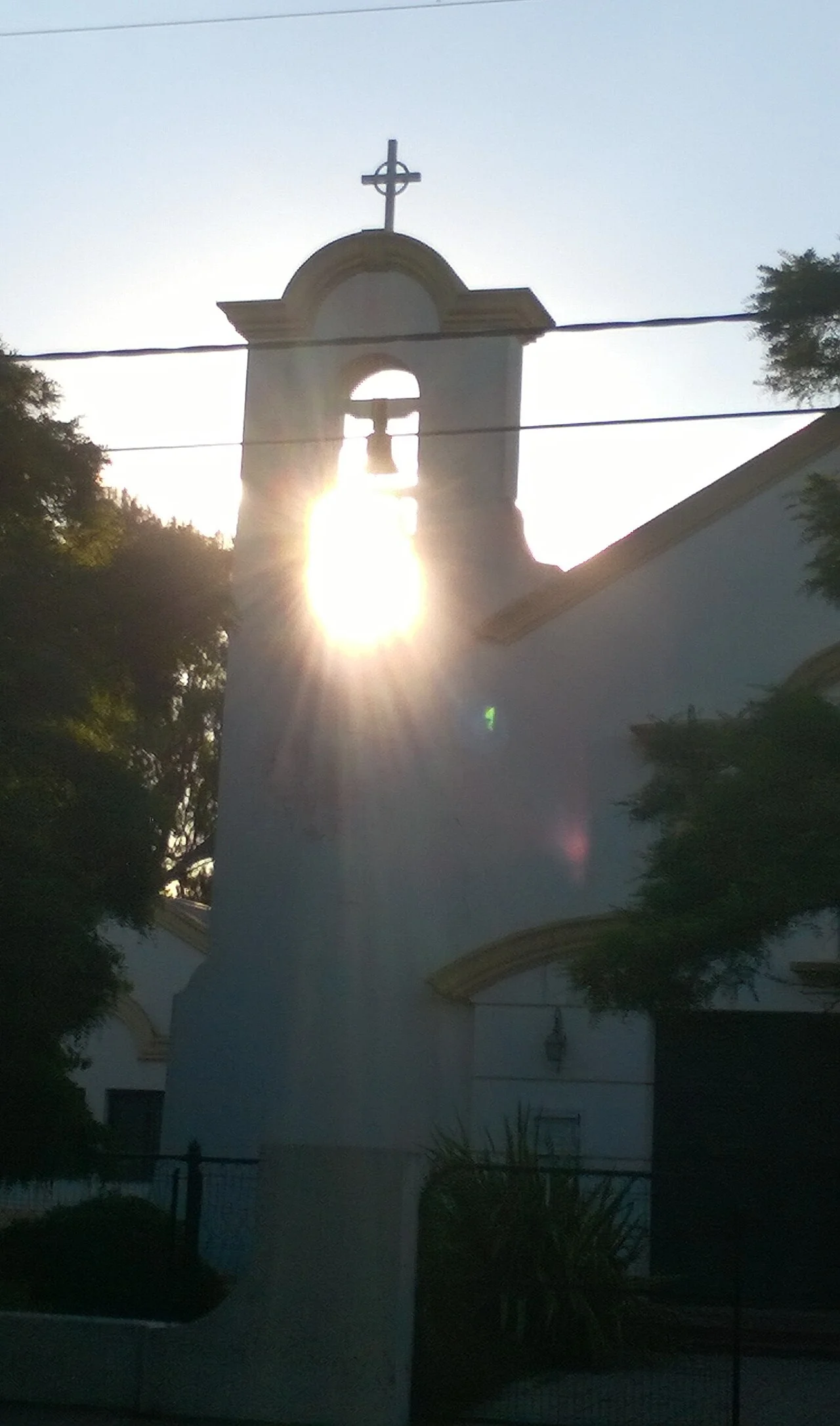 Photo of Bernardo Larroudé