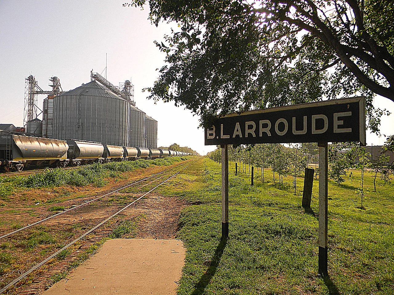 Photo of Bernardo Larroudé