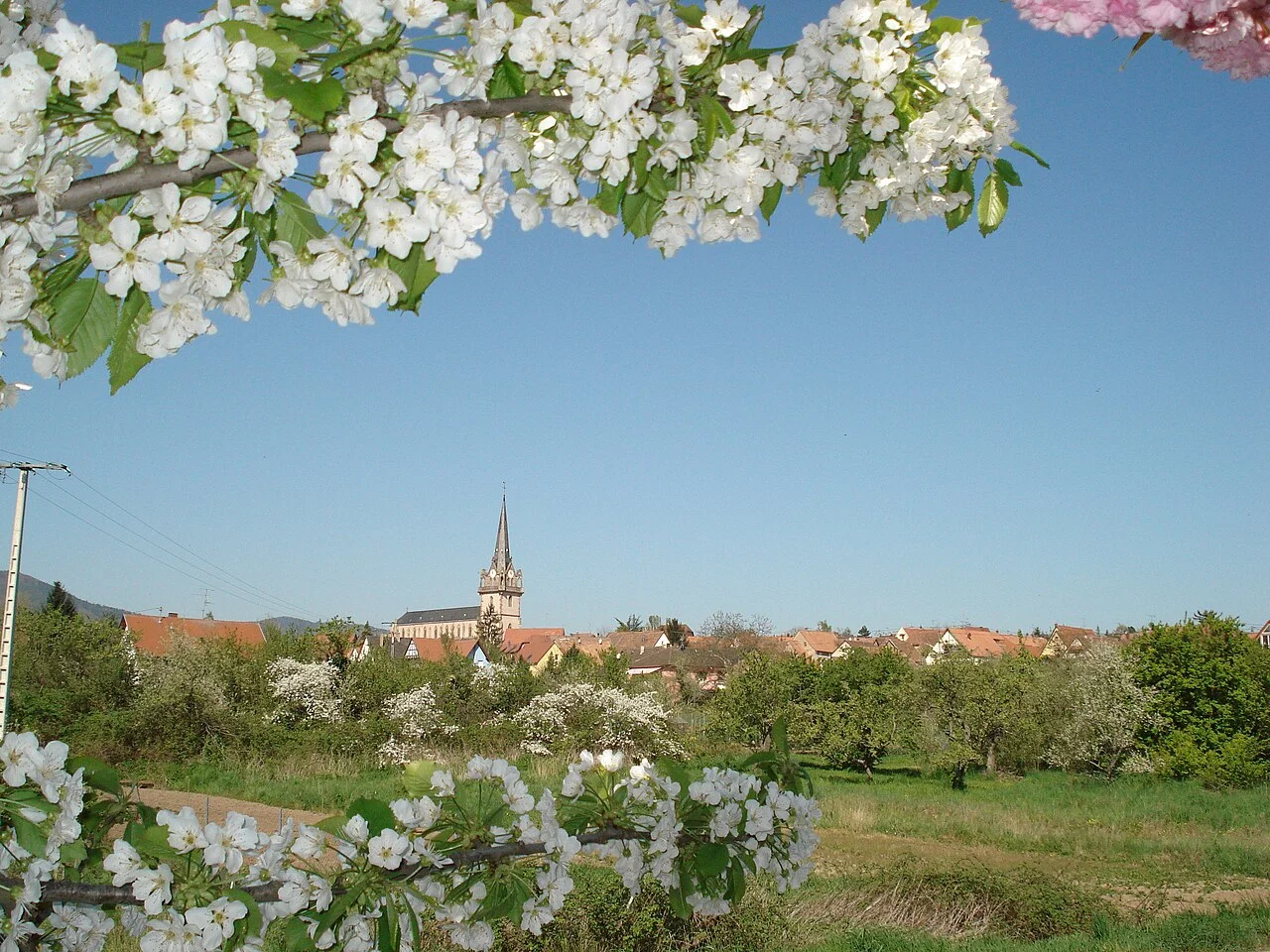 Photo of Bernardswiller