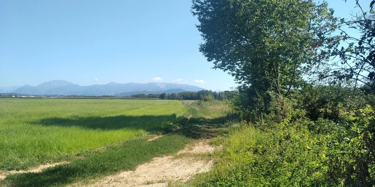 Photo of Bernareggio