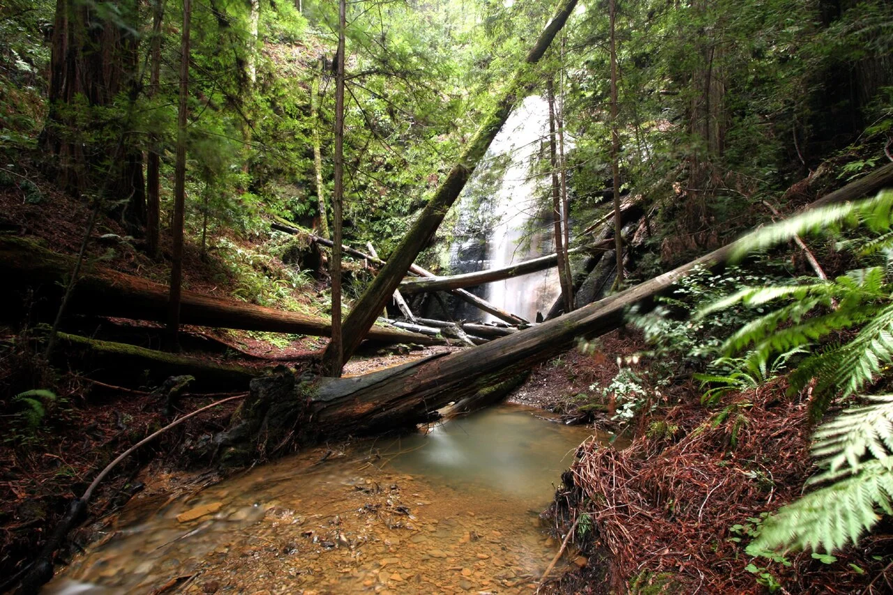 Photo of Berry Creek