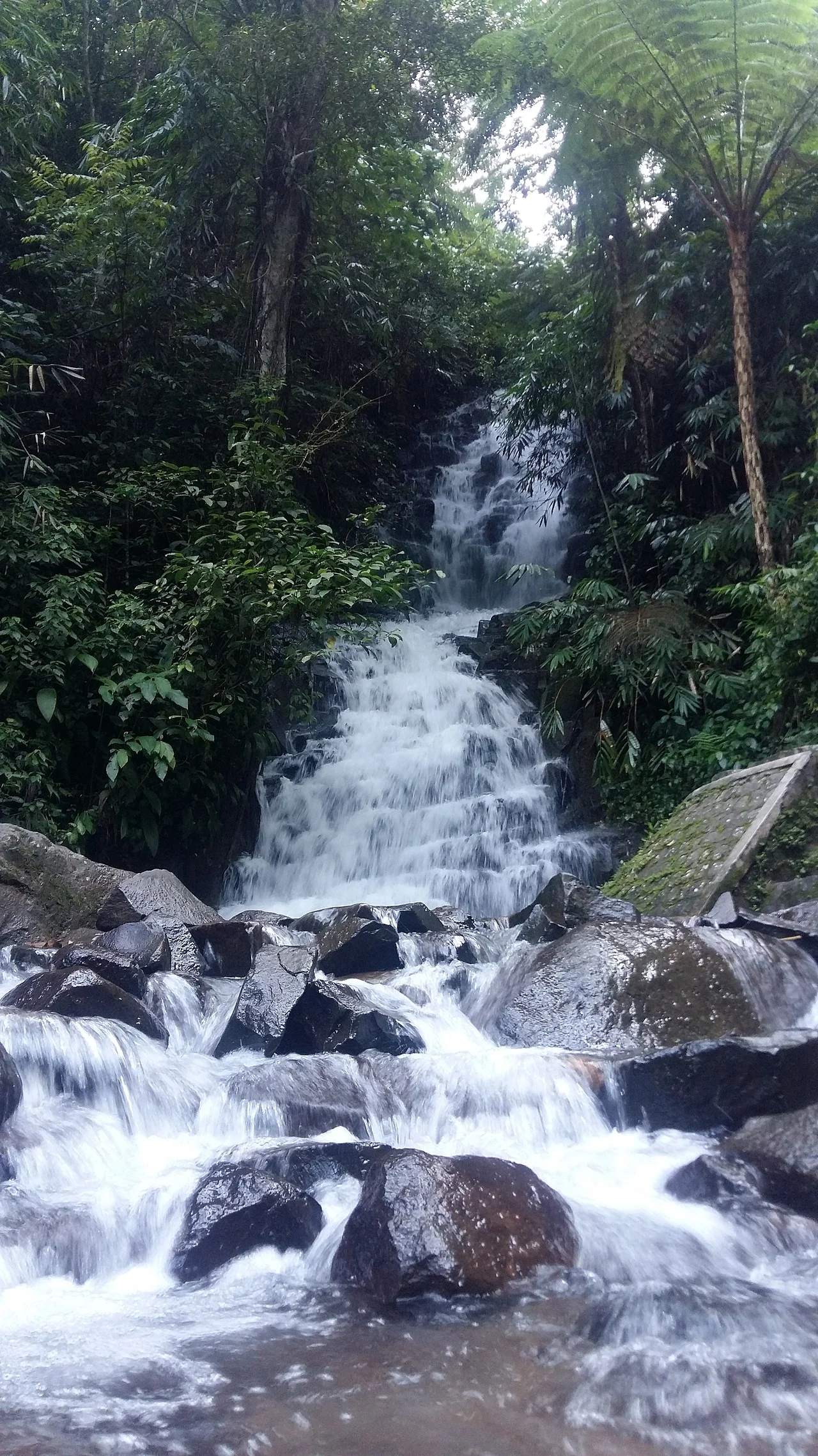 Photo of Besuki Satu