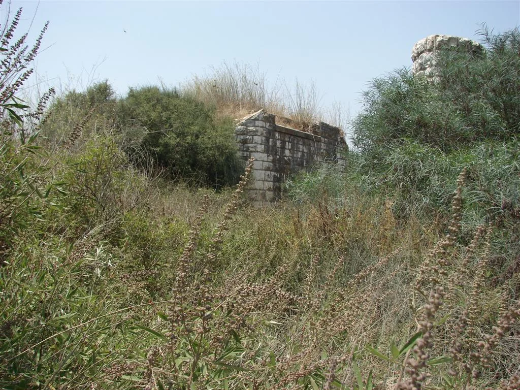 Photo of Bet ‘Arif