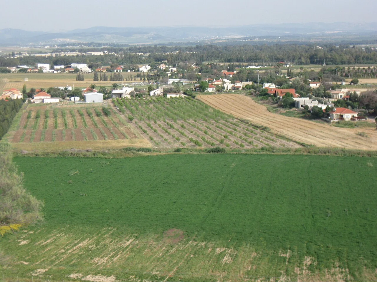 Photo of Bet El‘azari