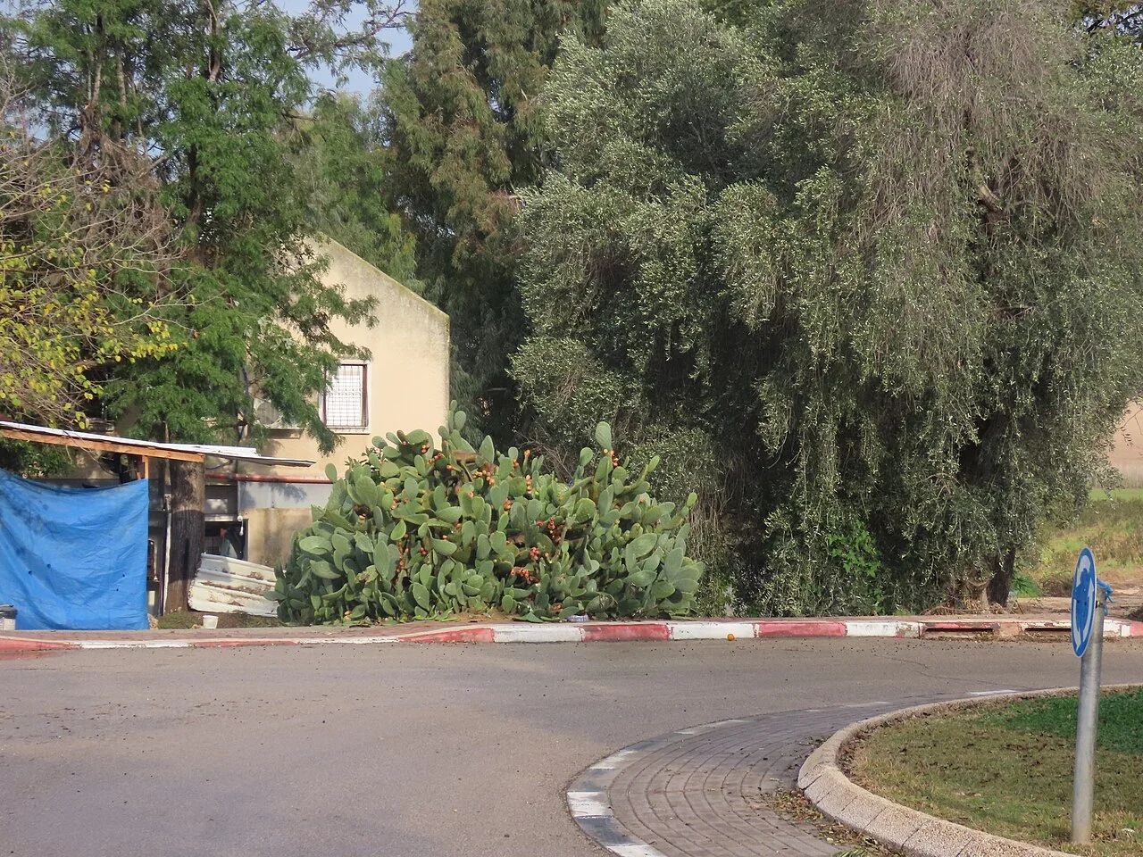 Photo of Bet H̱ilqiyya