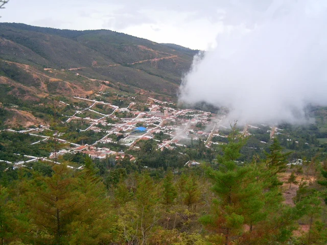 Photo of Betulia