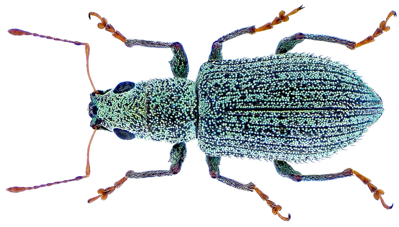 Photo of Bhanjanagar