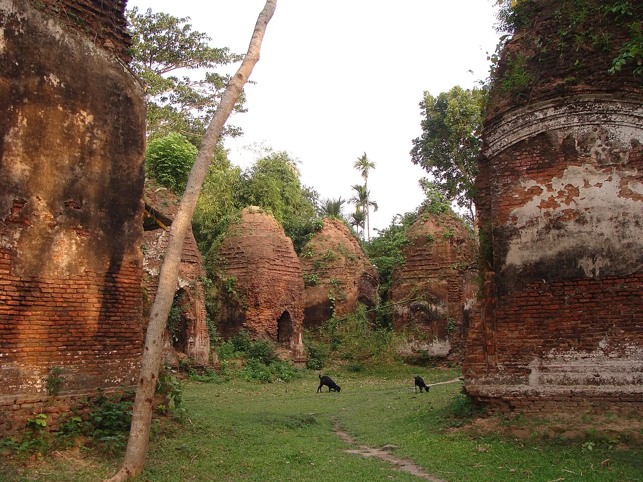 Photo of Bhātpāra Abhaynagar
