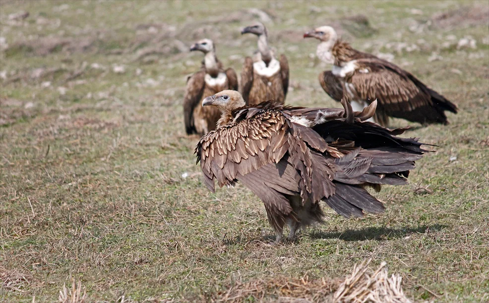 Photo of Bilāsipāra