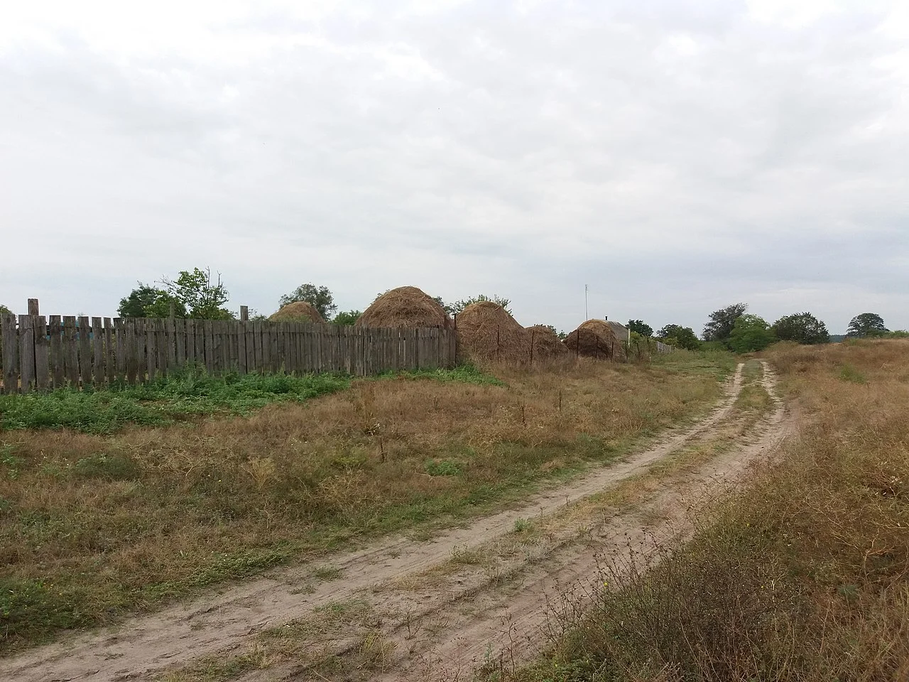 Photo of Biletskivka