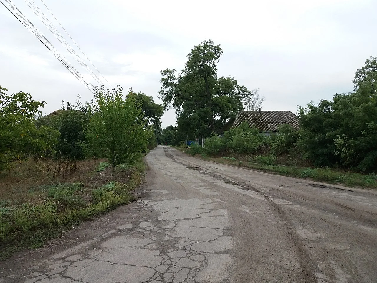 Photo of Biletskivka