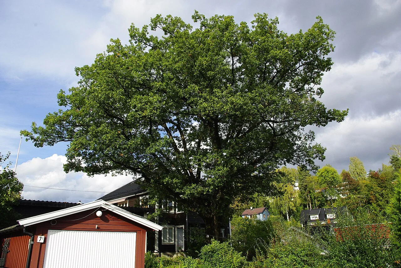 Photo of Billingstad