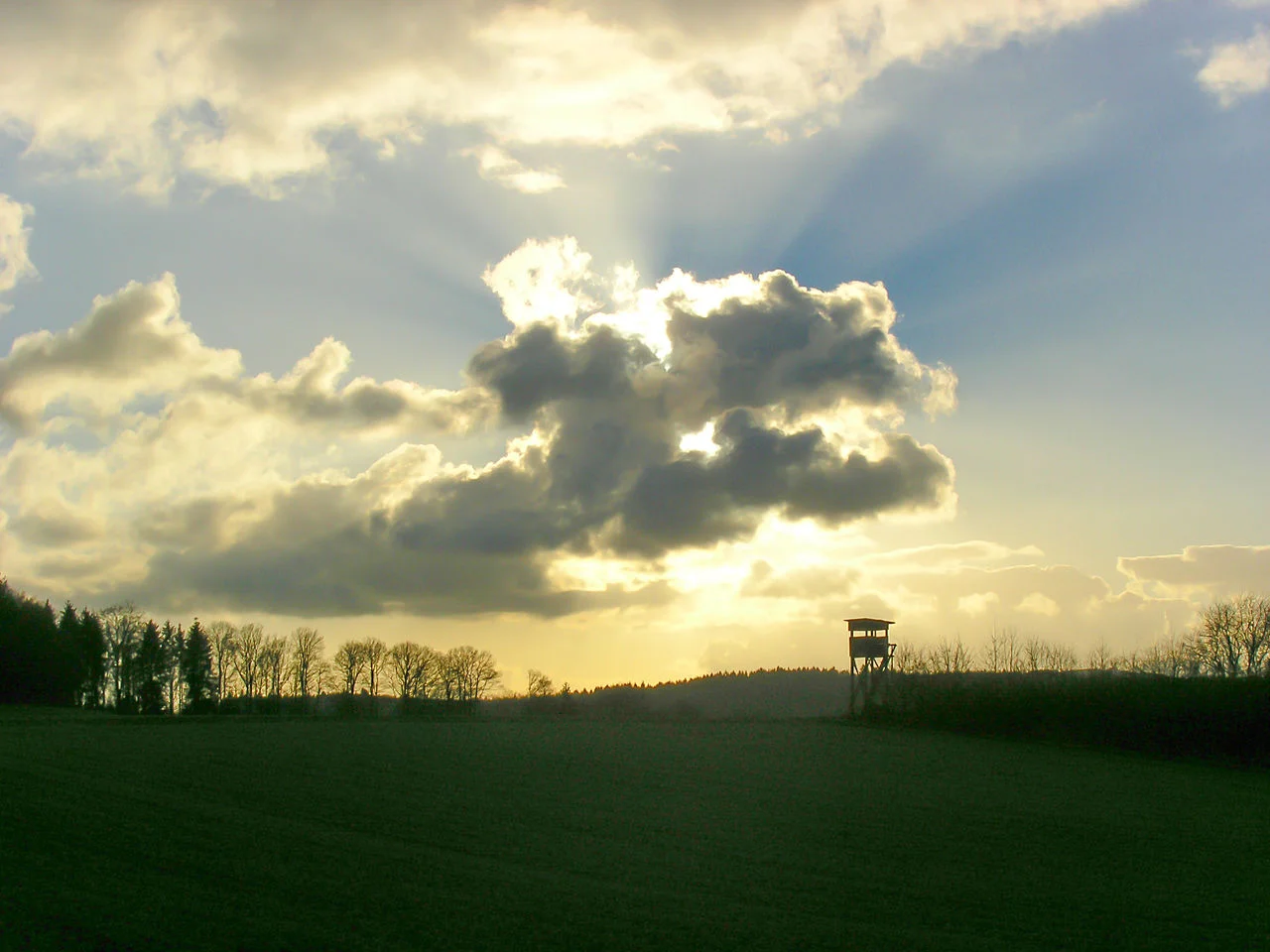 Photo of Birken-Honigsessen