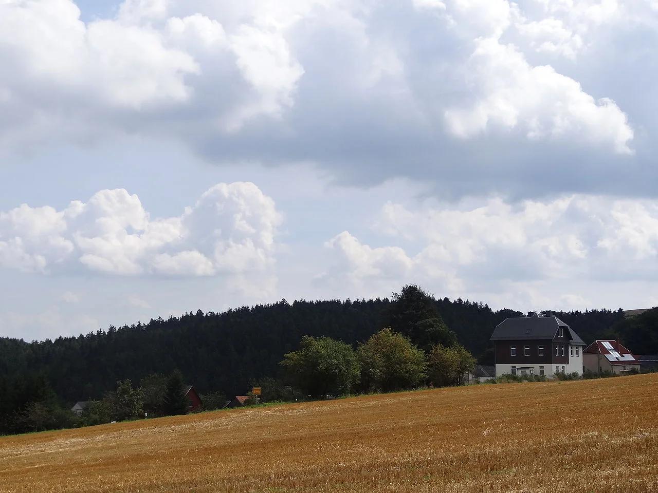 Photo of Birkenheide