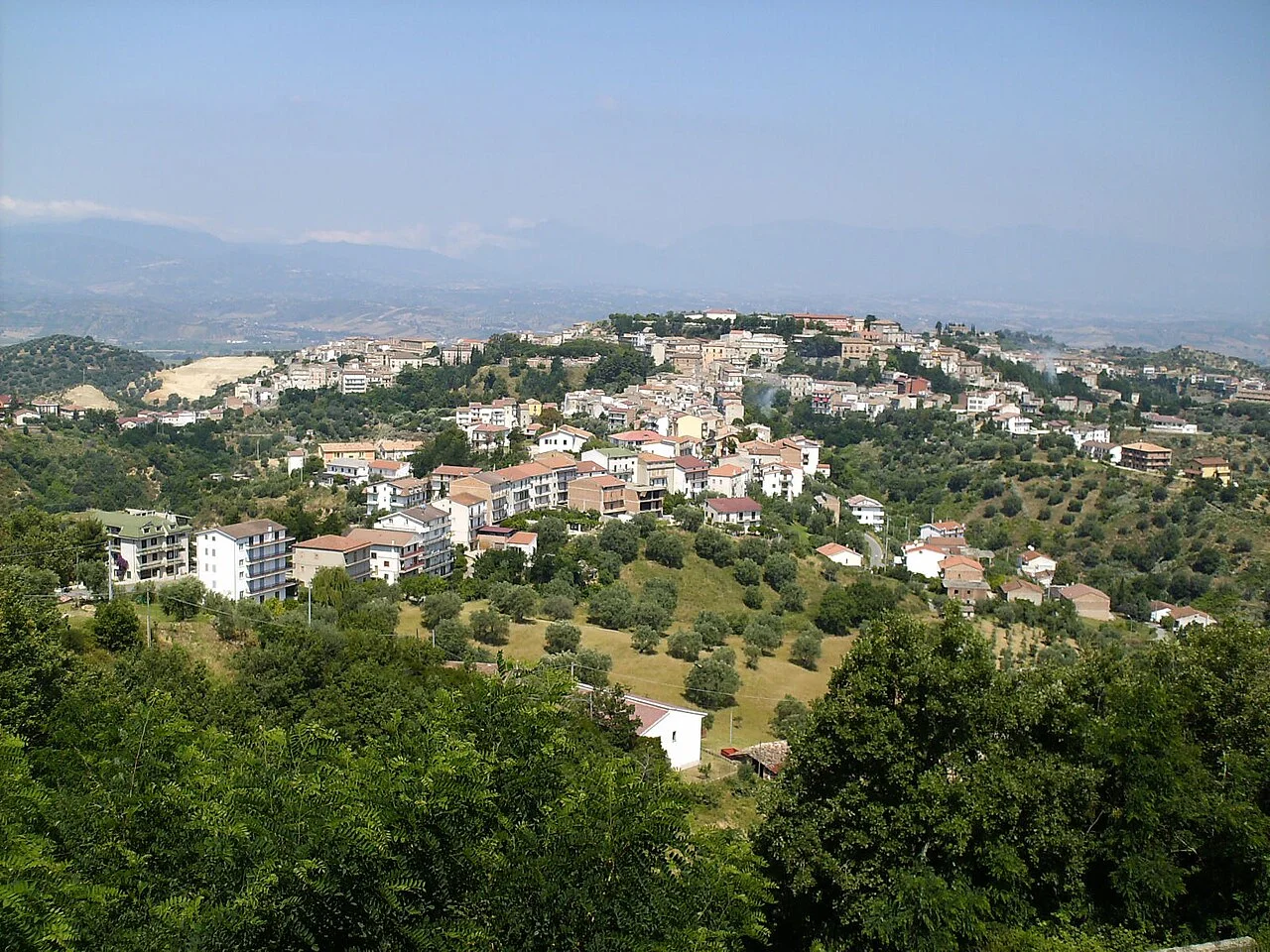 Photo of Bisignano