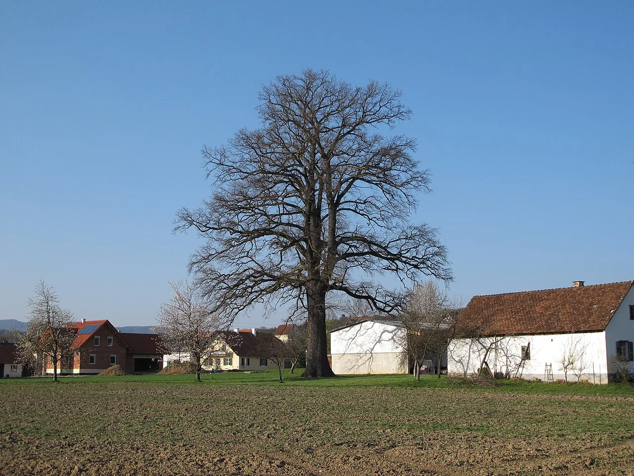 Photo of Blaindorf