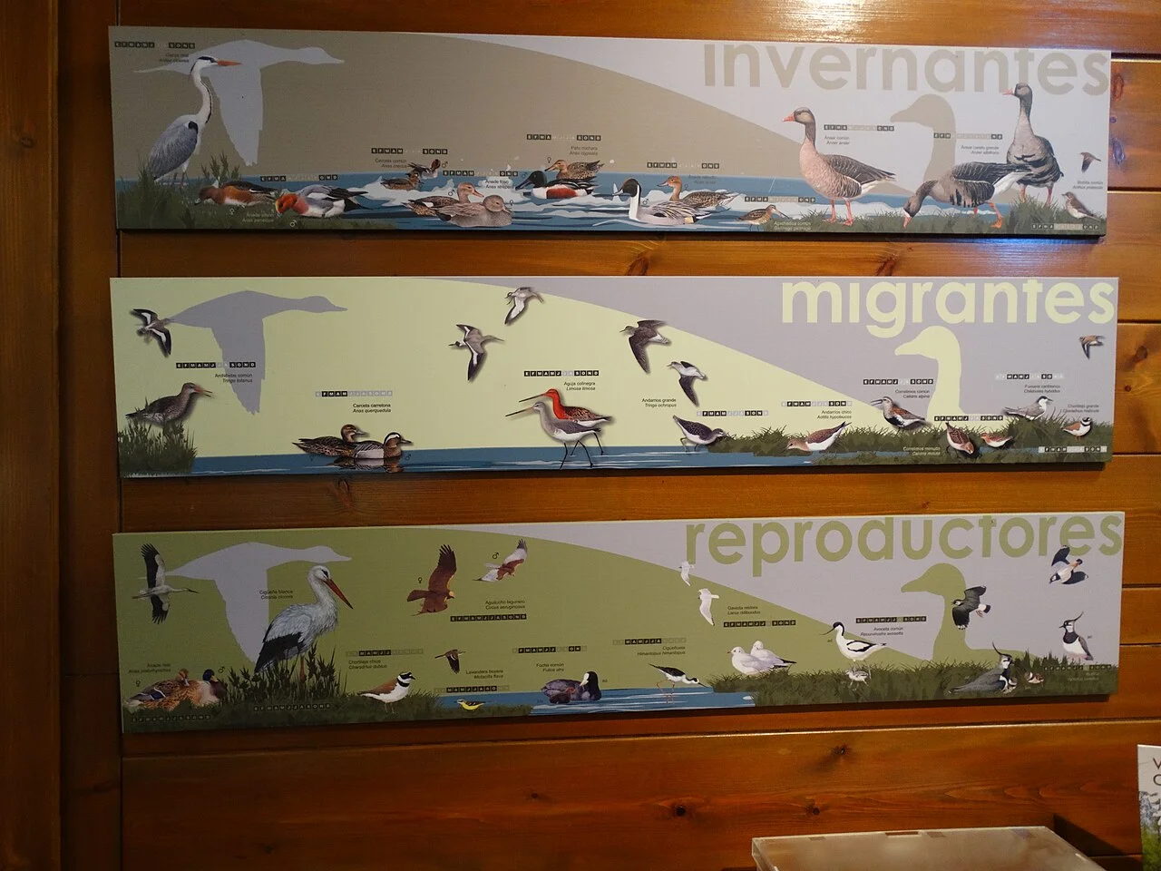 Photo of Boada de Campos