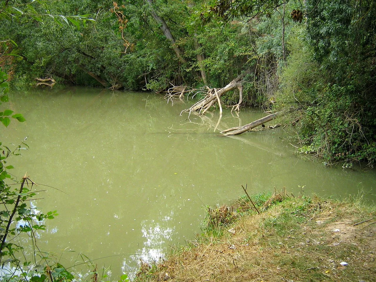 Photo of Bocos de Duero