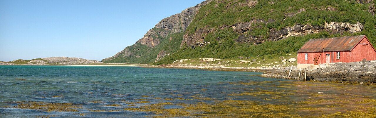 Mjeldevika