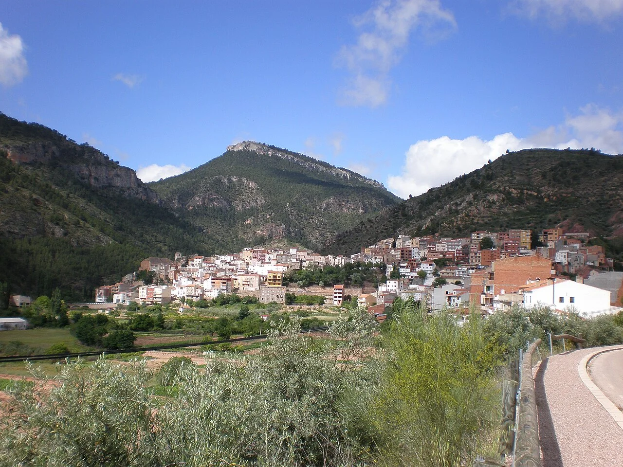 Photo of Bogarra