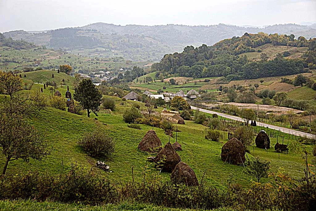 Photo of Bogdan Vodă