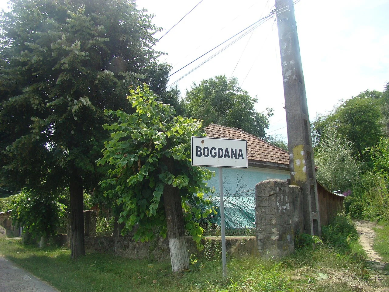 Photo of Bogdana
