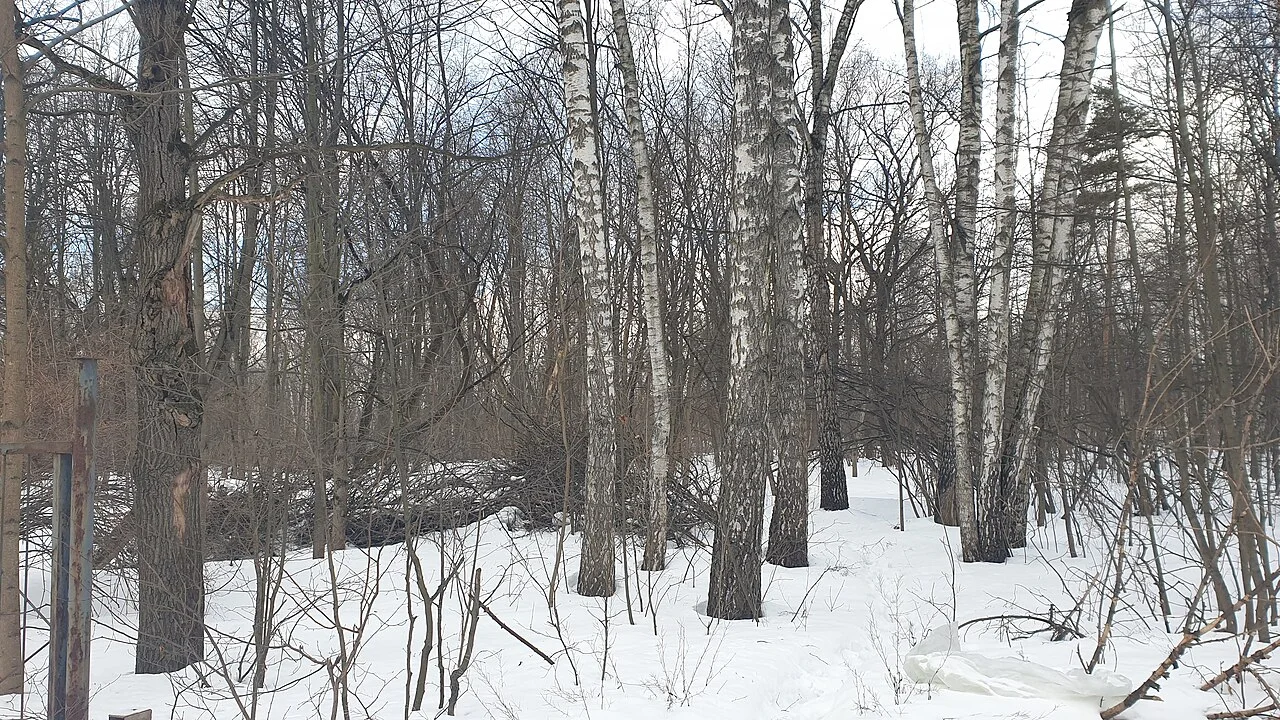 Photo of Bogorodskoye