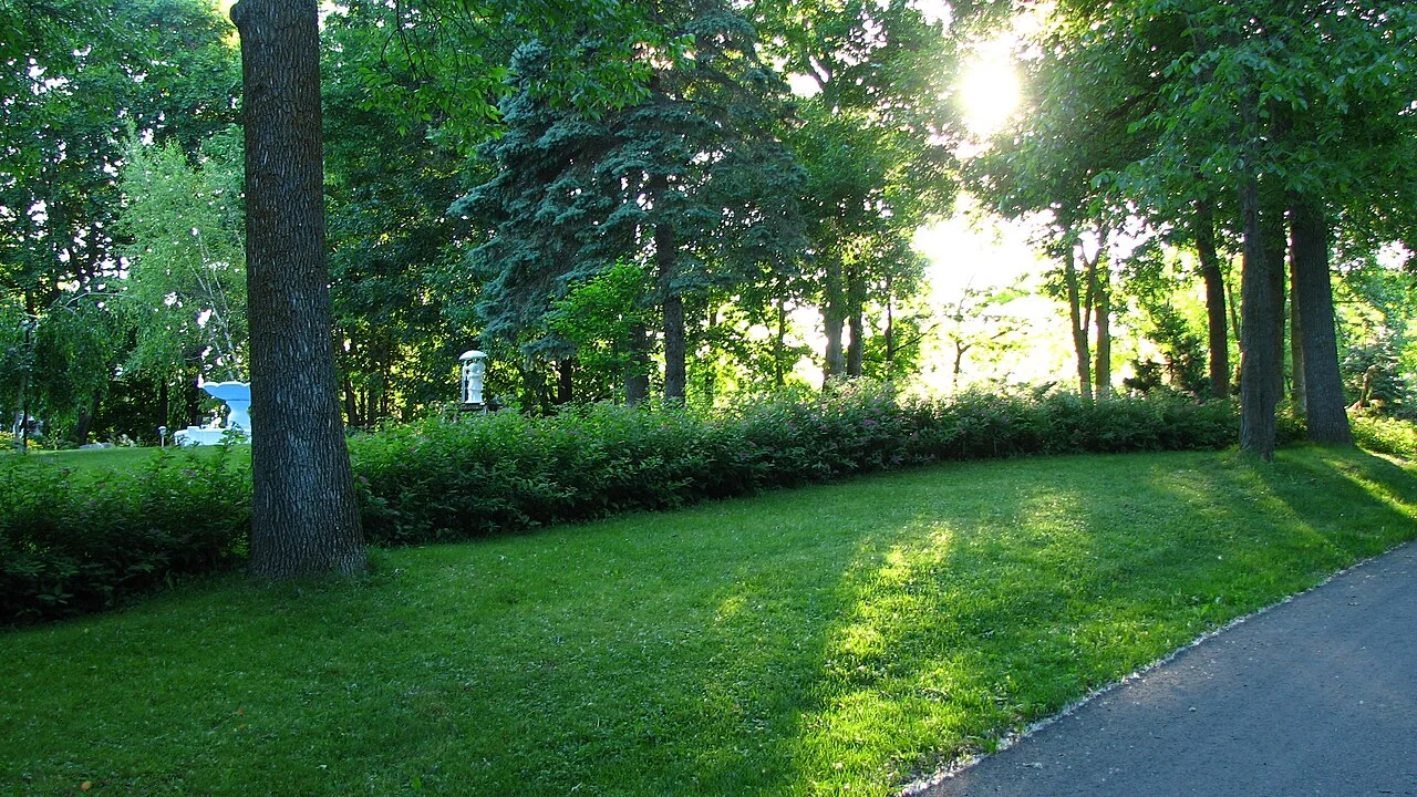 Photo of Bois-des-Filion