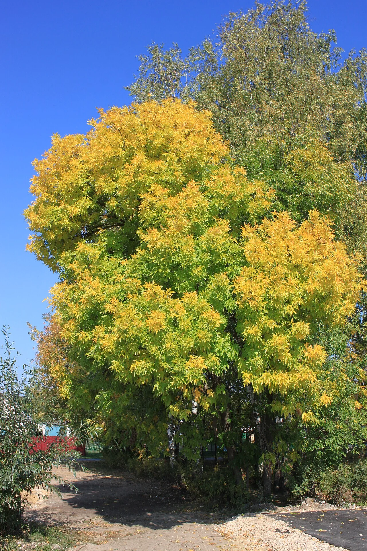 Photo of Bol’shoye Boldino