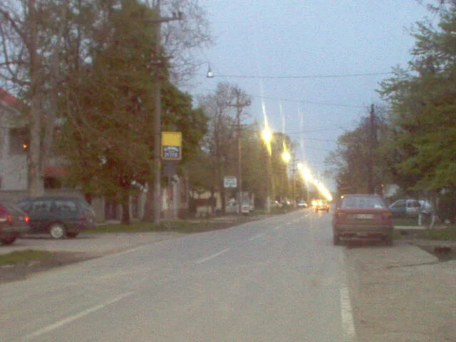 Photo of Boljevci