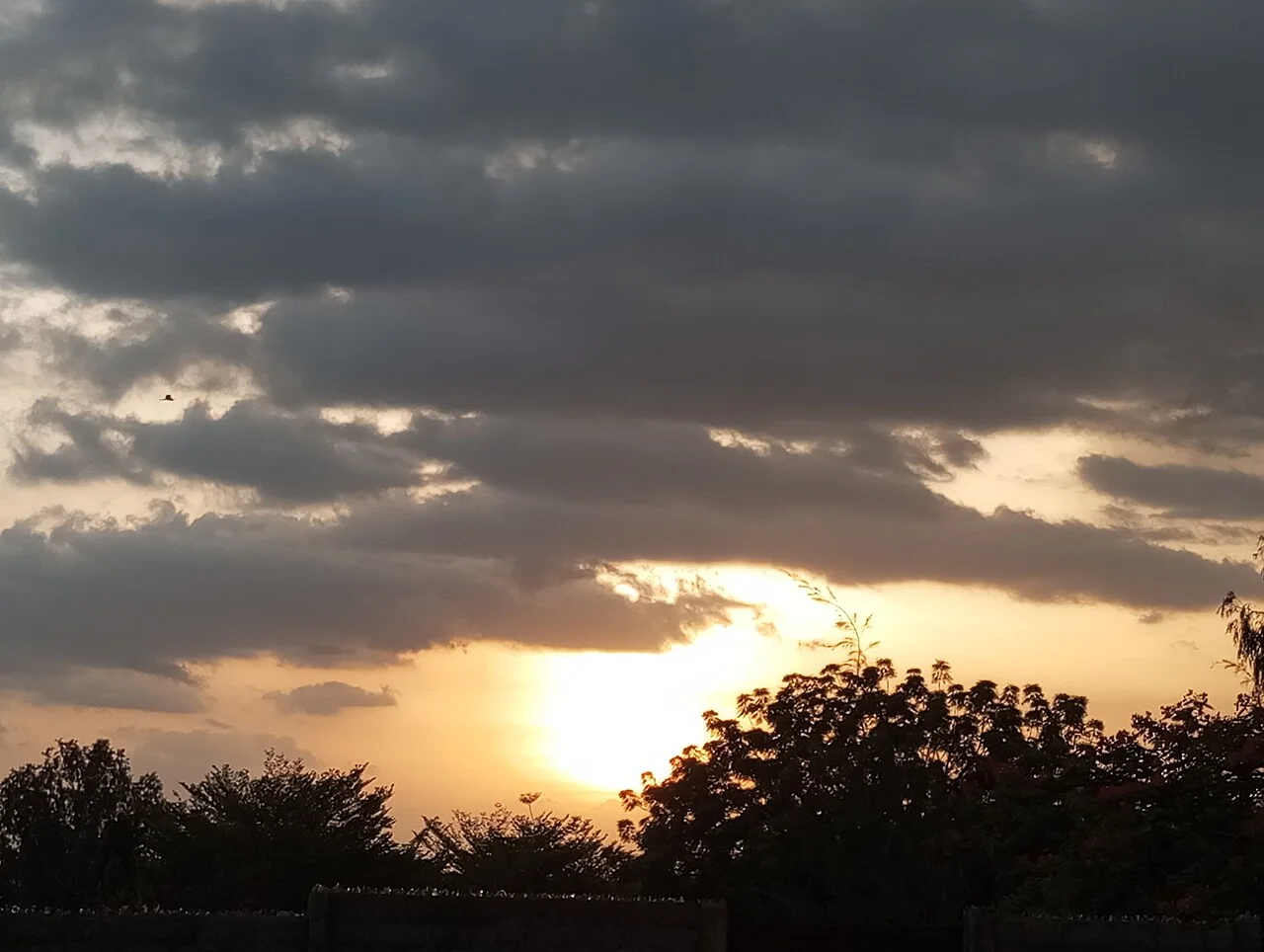 Photo of Bolorunduro