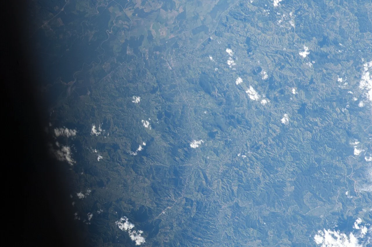 Photo of Bonito Oriental