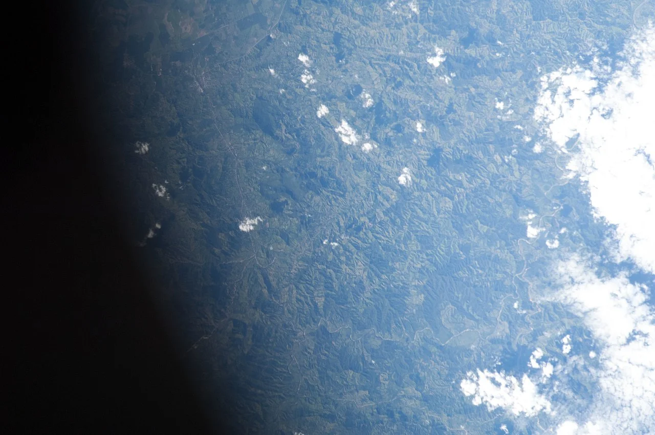 Photo of Bonito Oriental