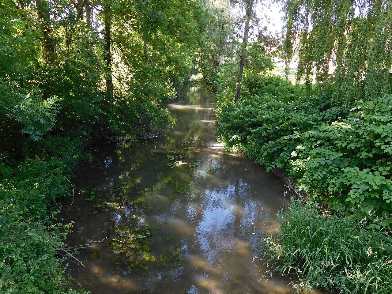 Photo of Bonny-sur-Loire