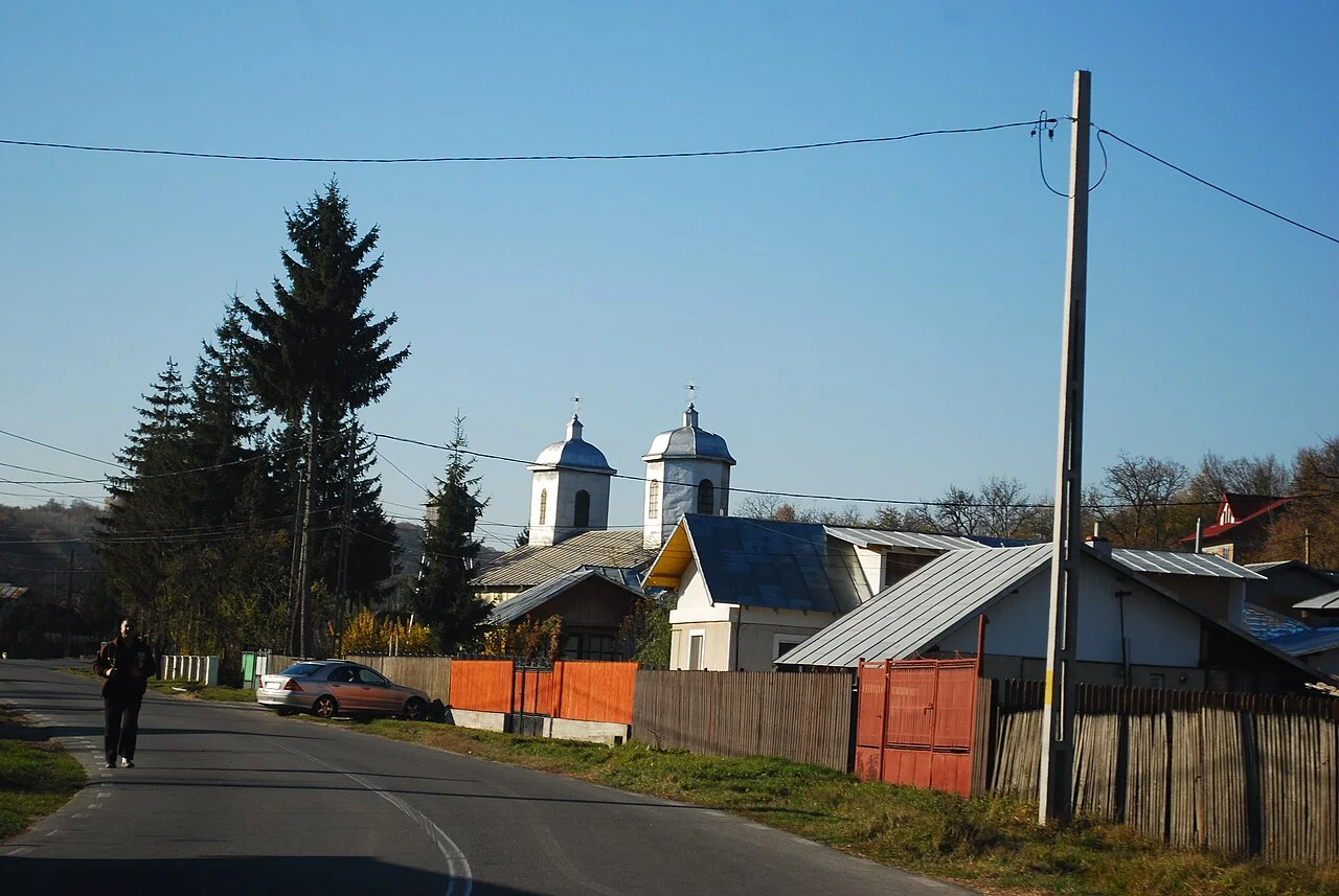 Photo of Bordenii Mari