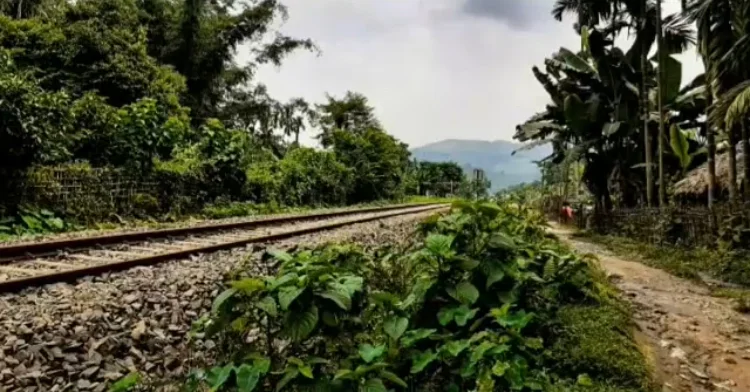 Photo of Borgolai Grant No.11