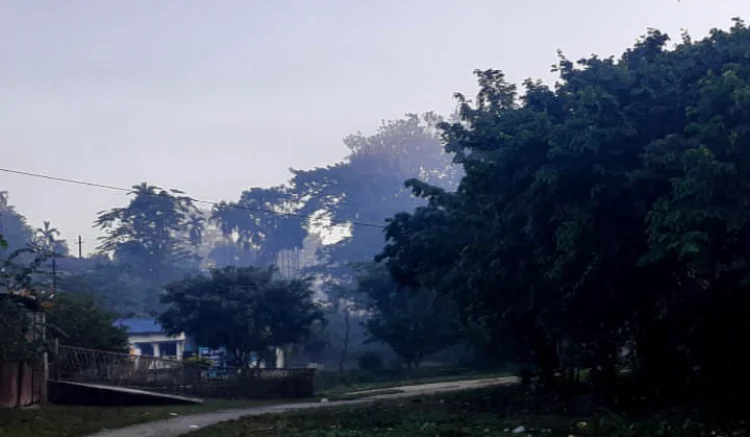 Photo of Borgolai Grant No.11