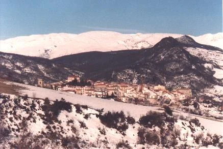 Photo of Borrello
