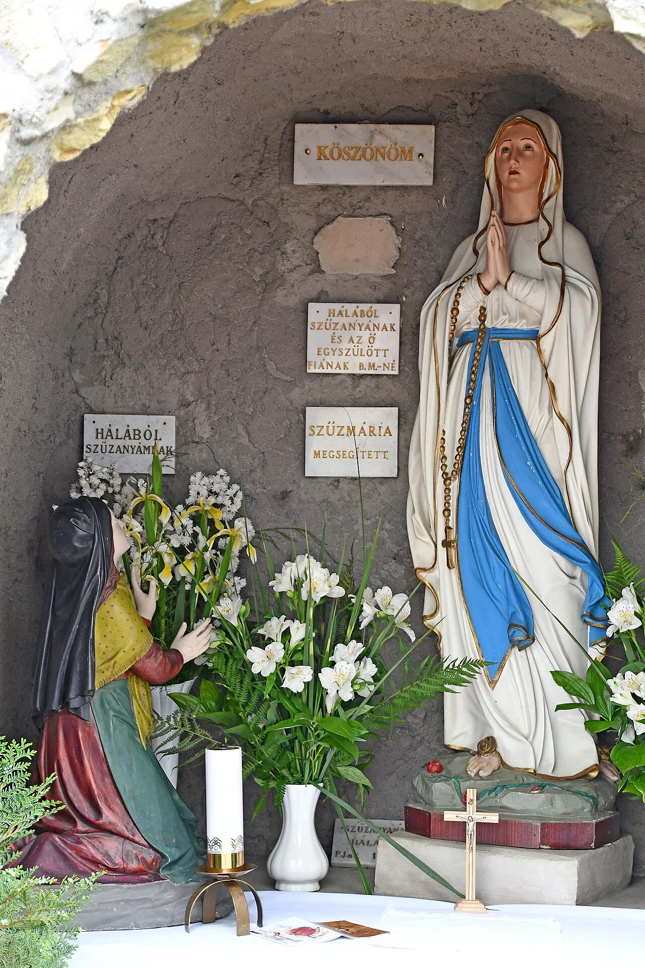 Photo of Borsodnádasd