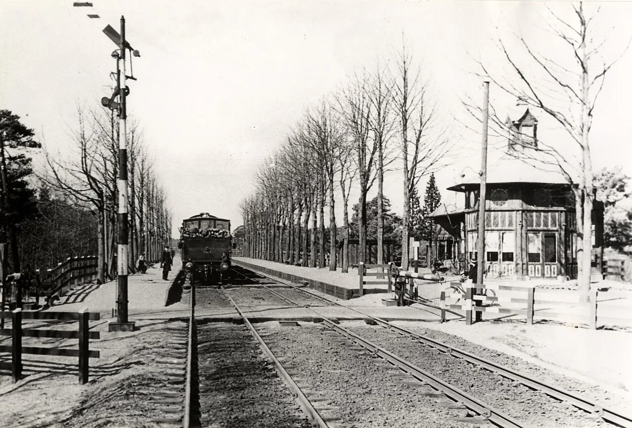 Photo of Bosch en Duin