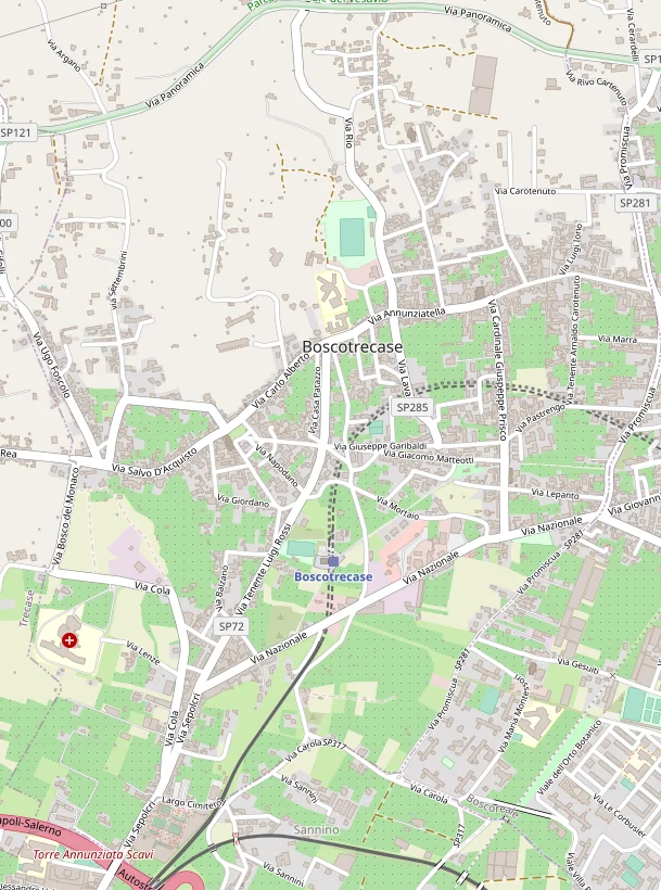 Photo of Boscotrecase