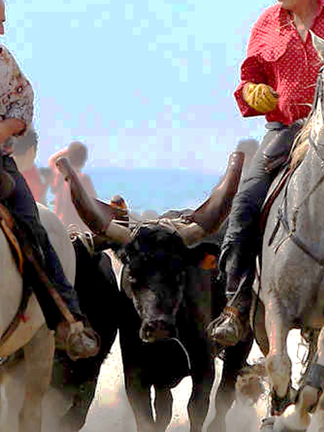 Photo of Bouillargues