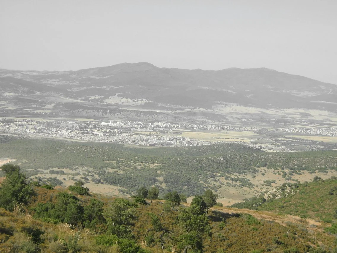 Photo of Boumahra Ahmed