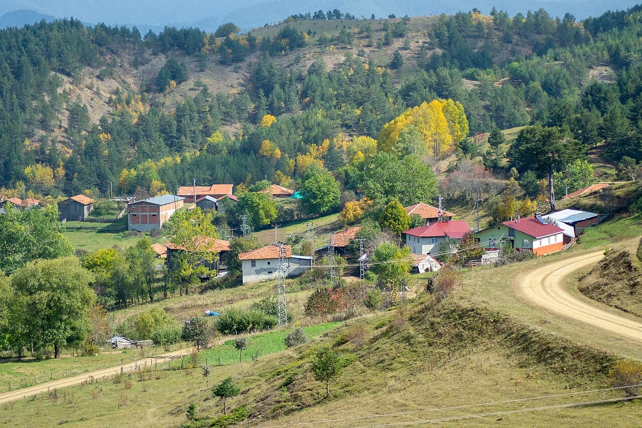 Photo of Bozarmut