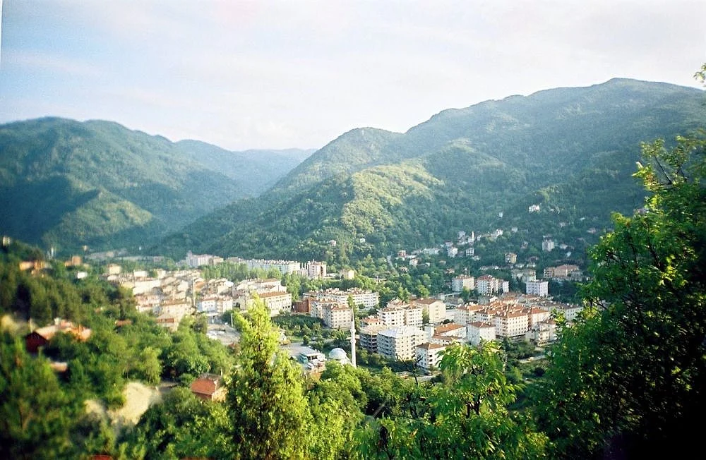 Photo of Bozkurt