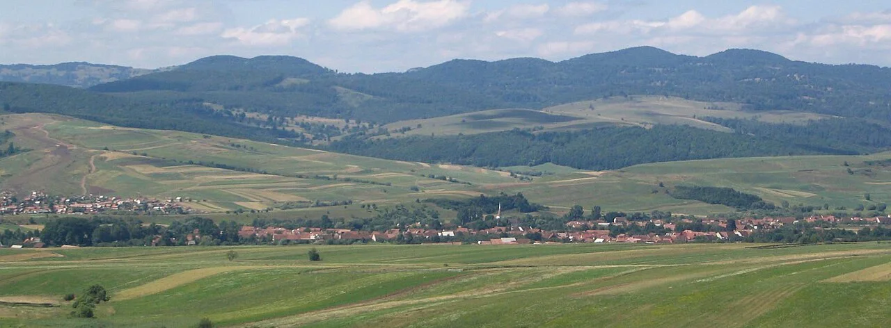 Photo of Brăduţ